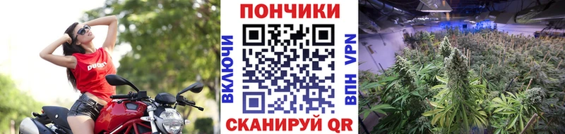 купить   Ростов-на-Дону  Каннабис THC 21% 